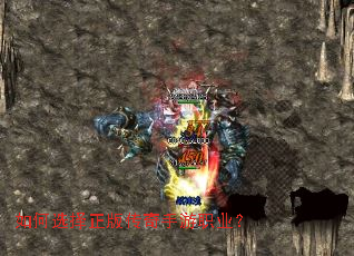 ���ѡ�����洫������ְҵ��