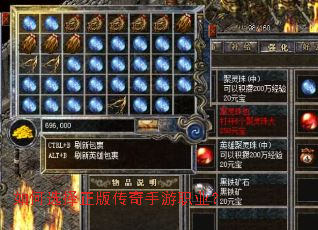 ���ѡ�����洫������ְҵ��