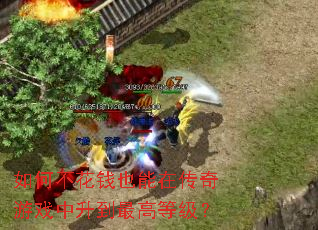 ��β���ǮҲ���ڴ�����Ϸ��������ߵȼ���