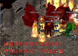 ����������������ɹ��ʣ�������Щ�����������ɽ���