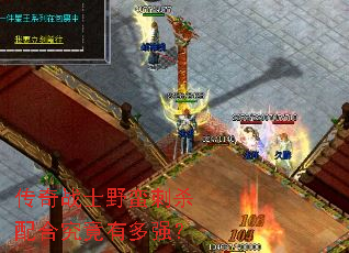 ����սʿҰ����ɱ��Ͼ����ж�ǿ��