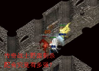 ����սʿҰ����ɱ��Ͼ����ж�ǿ��