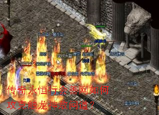 ���������л�������ι��˴������ʵ���