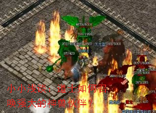 ССǳ̸����ʿ����ٻ�ǿ������޻�飿