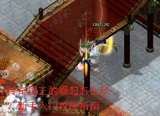 ���������������ô�棿�������Ź���ָ��