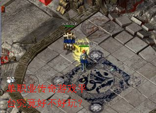 ��ְҵ������Ϸƽ̨�����ò����棿