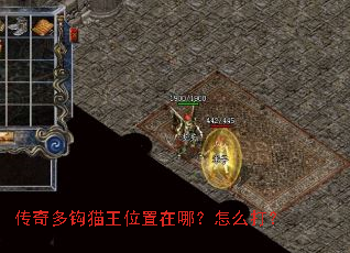 ����๳è��λ�����ģ���ô��