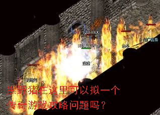 ��Ұ�������������һ��������Ϸ����������