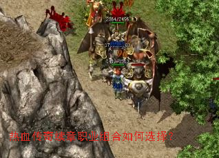 ��Ѫ��������ְҵ������ѡ��