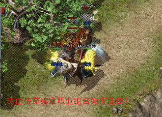 ��Ѫ��������ְҵ������ѡ��