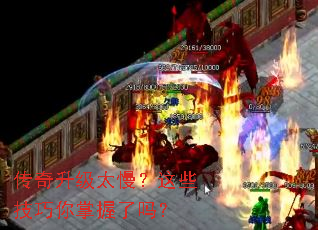 ��������̫������Щ��������������