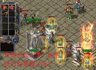 ��������̫������Щ��������������