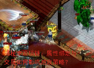 �����������������԰��뽻�����Ӱ����Ϸ���ԣ�