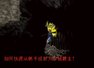 ��ο��ٴ����ֳɳ�Ϊɳ�ǰ�����