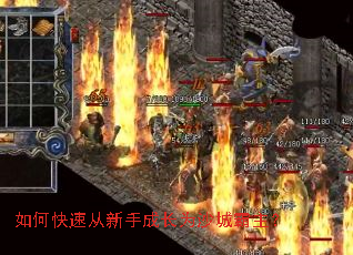 ��ο��ٴ����ֳɳ�Ϊɳ�ǰ�����