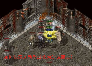 如何快速从新手成长为沙城霸主? 如何快速从新手成长为沙城霸主?