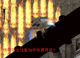 ����ְҵ������ο���������