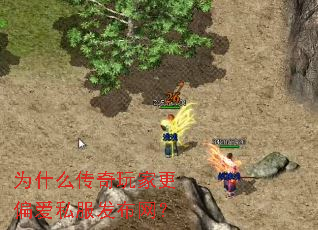 Ϊʲô������Ҹ�ƫ��˽����������