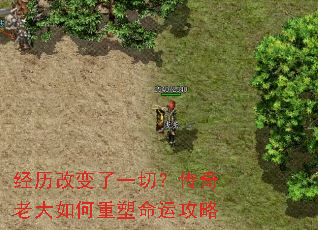 经历改变了一切?传奇老大如何重塑命运攻略 经历改变了一切?传奇老大如何重塑命运攻略