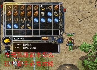 传奇私服副本怎么玩?新手必看攻略 传奇私服副本怎么玩?新手必看攻略