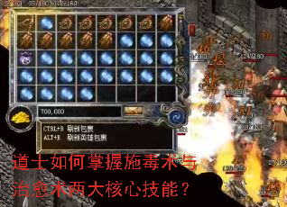 道士如何掌握施毒术与治愈术两大核心技能? 道士如何掌握施毒术与治愈术两大核心技能?