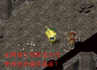 ��ξ���ϸ���Ϊ������Ϸ������Ӯ�ң�