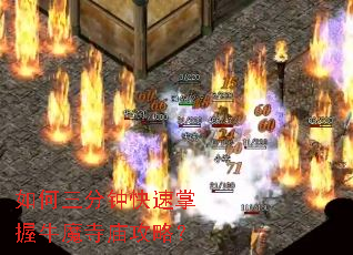 ��������ӿ�������ţħ�������ԣ�