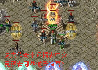 ���Ŵ������˸����о���������Щ���쾪ϲ��