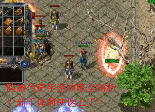 ��������ι���ȫ������������ο������֣�