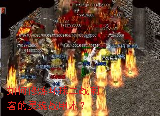 ������������ս�̿͵����ս������