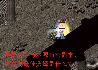 ͨ��֮·�뱾Դ�ɹ����������������ѡ����ʲô��