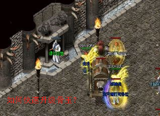 ��ο�����������