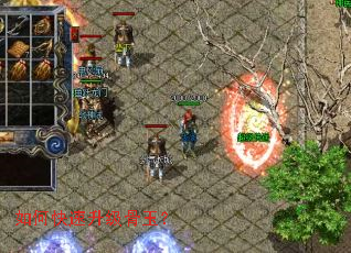 ��ο�����������