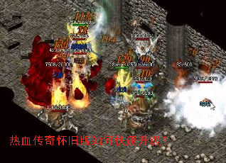 ��Ѫ���滳�ɰ���ο���������