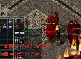 ��ο�������������Ѫ�����ɫ�ȼ���