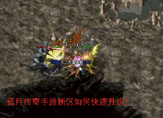 ���´�������������ο���������