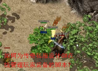 ���Ϊ����˽�����GM���߹������װ���Ľű���