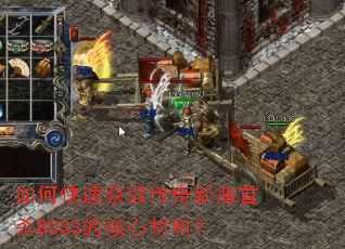 ��ο��ٻ�ȡ�����·���ɱBOSS�ĺ��Ĳ��ϣ�