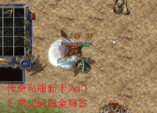 ����˽���������ţ���������ȫ���