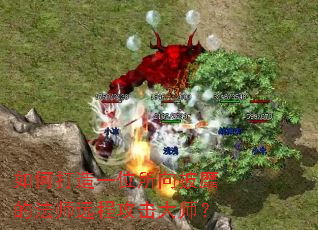 ��δ���һλ�������ҵķ�ʦԶ�̹�����ʦ��