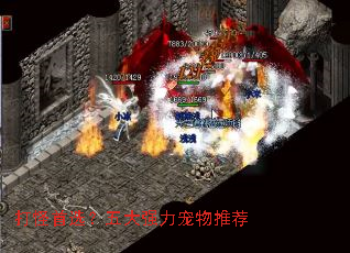 �����ѡ�����ǿ�������Ƽ�