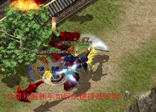 传奇私服新手如何快速提升等级? 传奇私服新手如何快速提升等级?