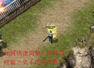 ��ο��ٵ��������������飿���ֽ��׹���