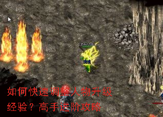 ��ο��ٵ��������������飿���ֽ��׹���