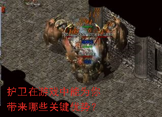 护卫在游戏中能为你带来哪些关键优势? 护卫在游戏中能为你带来哪些关键优势?