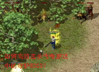 ��θ�Ч��ɱ������Ϸ�е��ػ�BOSS��