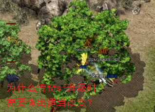 Ϊʲô����sf����ʱ��Ҫ�����ʵ��ı䣿