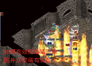 ��θ�Ч̽��������ͼ����ȡϡ��װ����