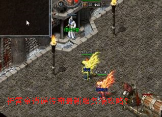 神霄金逍遥传奇最新服务端攻略? 神霄金逍遥传奇最新服务端攻略?