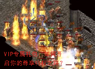 VIPר���������ο������������Ȩ֮·��